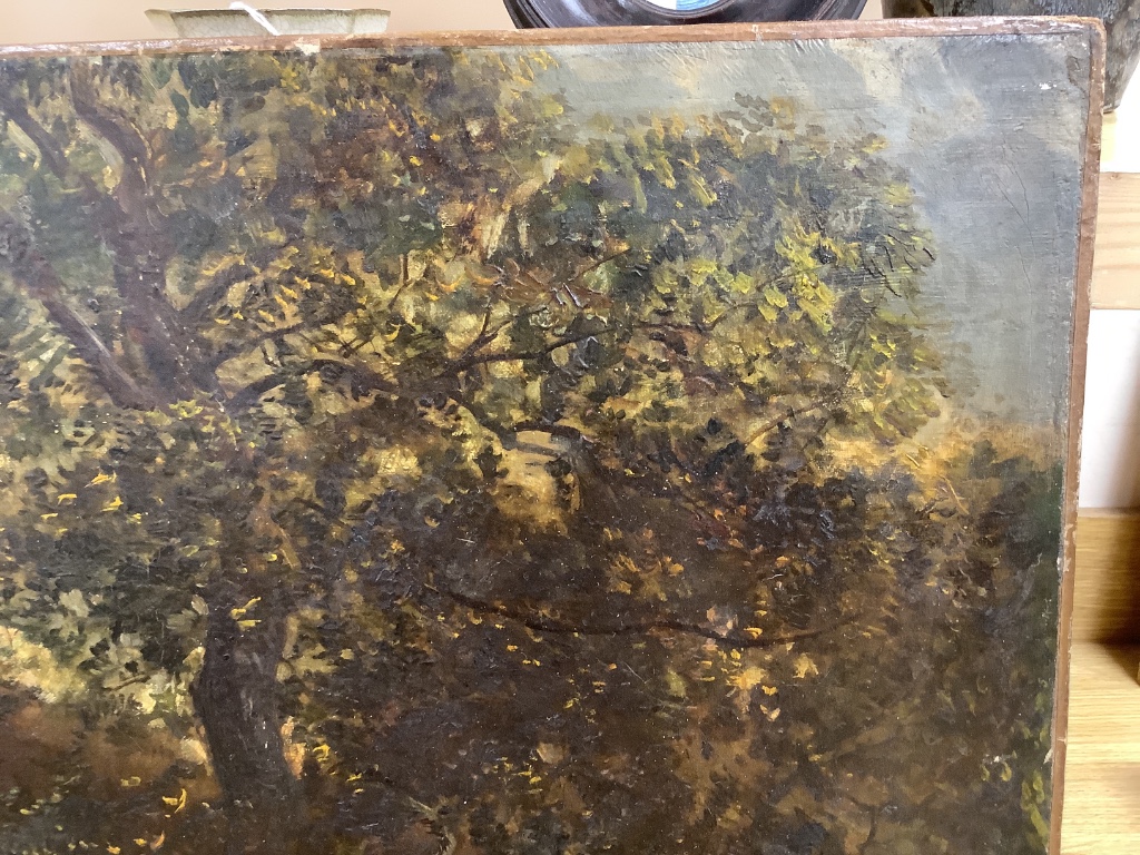 Victorian School, oil on canvas, Figures picking fruit in a landscape, indistinct label verso, 48 x 65cm, unframed